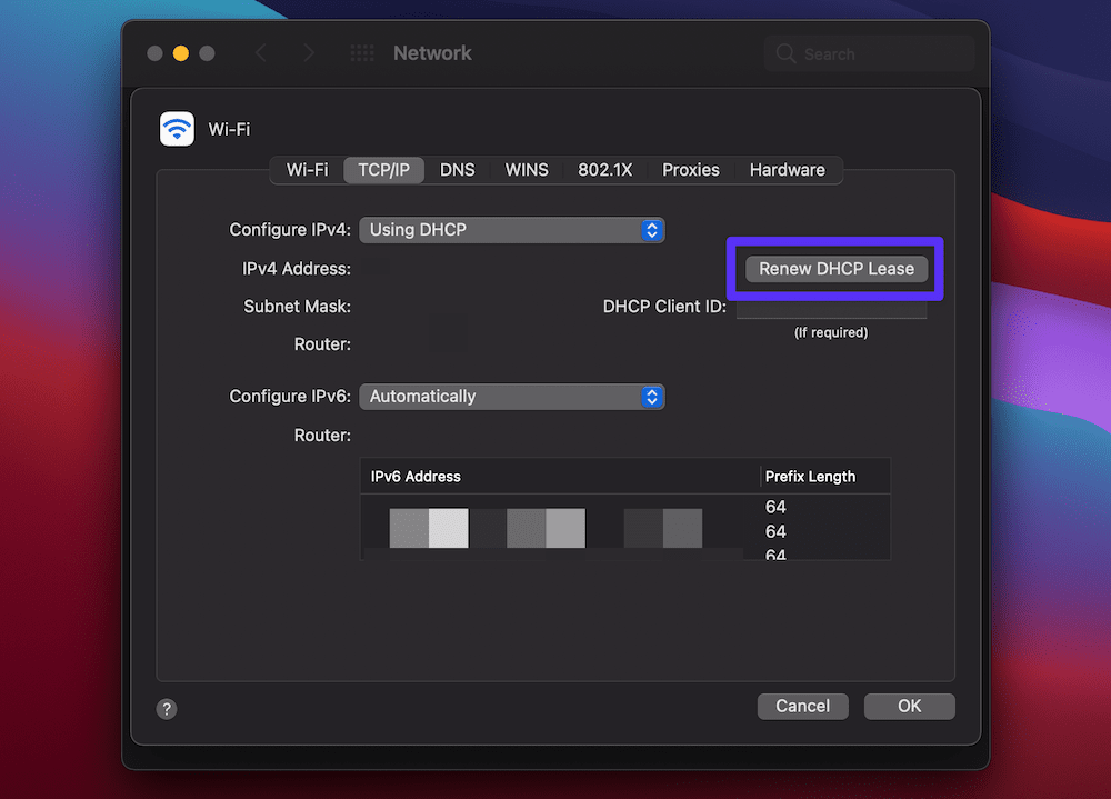 Der macOS-Bildschirm "Netzwerk > Erweitert > TCP/IP" zeigt verschiedene IP-Adressfelder und eine Schaltfläche "DHCP-Lease erneuern" mit einem violetten Kästchen an.