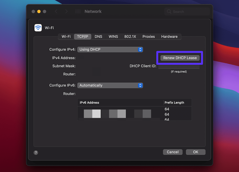 The macOS “Network > Advanced > TCP/IP” screen showing various IP address fields, with a “Renew DHCP Lease” button displayed with a purple callout box.