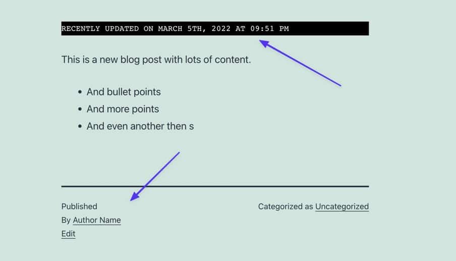 Schermata da un template di blog WordPress, pagina Privacy Policy in cui compare la data di ultimo aggiornamento ma non più la data di pubblicazione