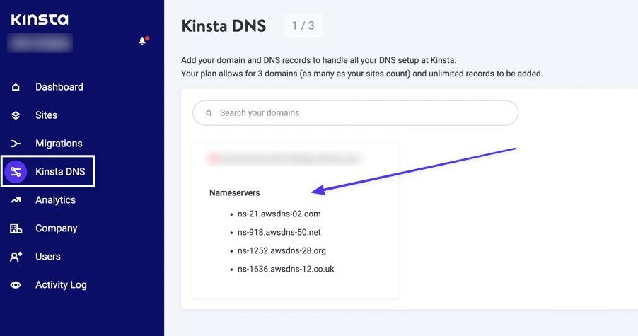 Selecione Kinsta DNS, depois clique em um nome de domínio.