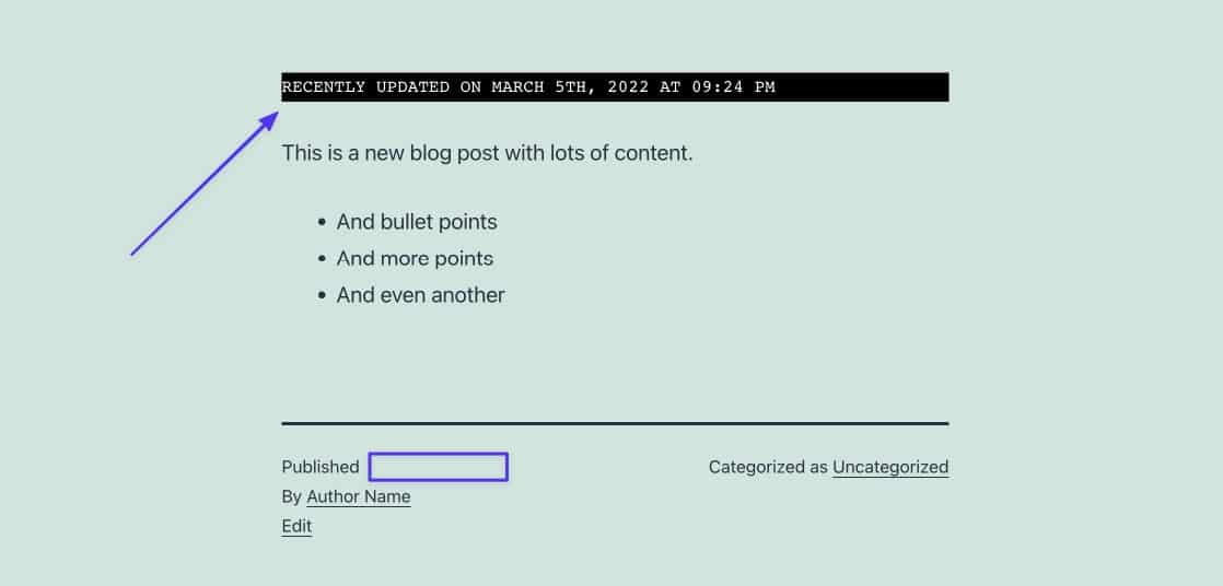 Schermata di un blog WordPress con la scritta Recently Updated on March 5th 2022 at 09:24 PM. Sotto c’è anche la stringa Published senza alcuna informazione di dettaglio