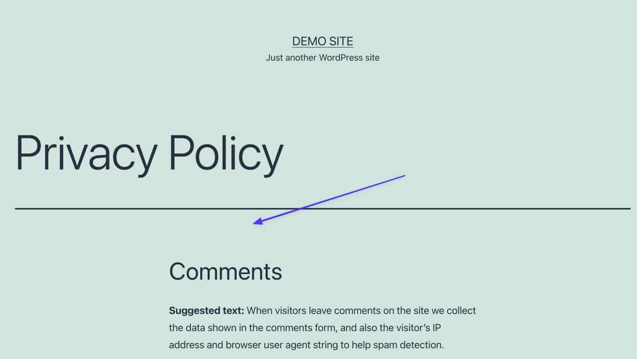 Schermata da un template di blog WordPress, pagina Privacy Policy in cui non compare più la data di ultimo aggiornamento