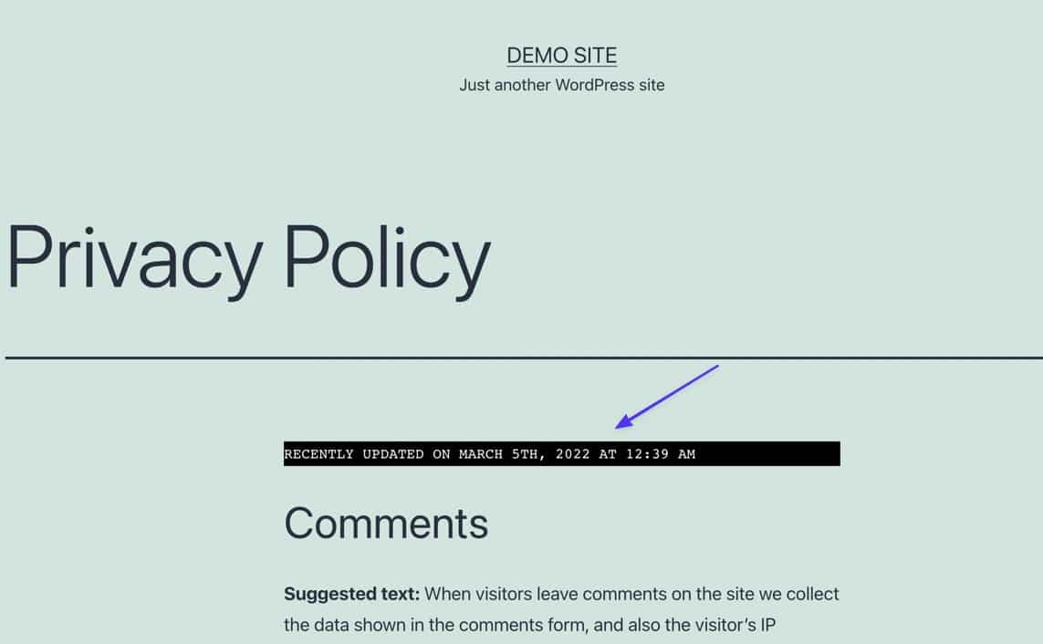 Schermata da un template di blog WordPress, pagina Privacy Policy in cui compare la stringa con la data e l’ora dell’ultimo aggiornamento