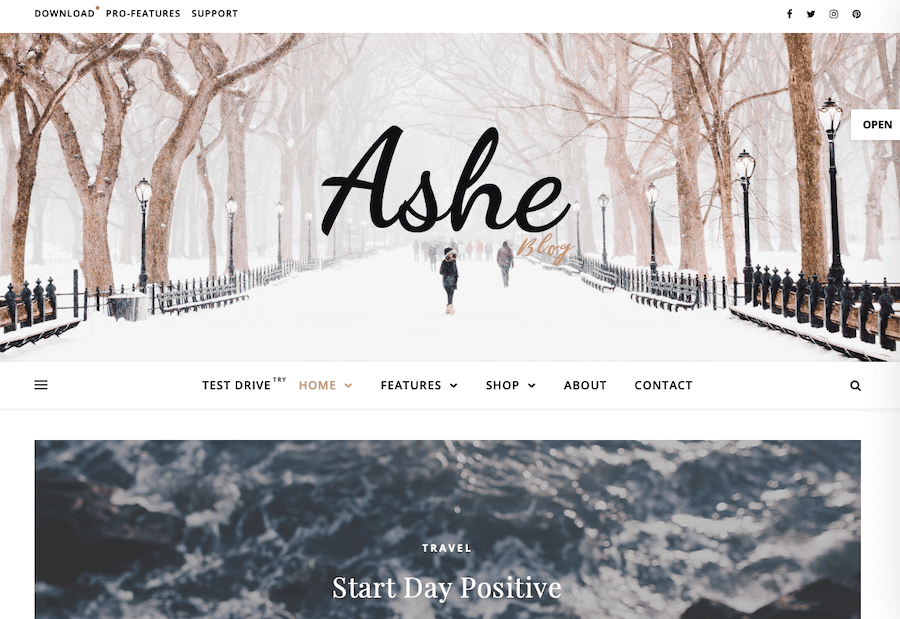 Una schermata del tema Ashe WordPress.