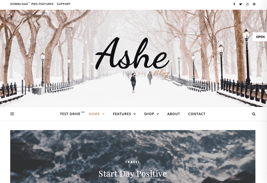 Una captura de pantalla del tema Ashe WordPress.