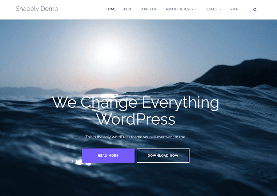 Die Demo des Shapely WordPress Themes bietet ein Hero Image und klare Handlungsaufforderungen.