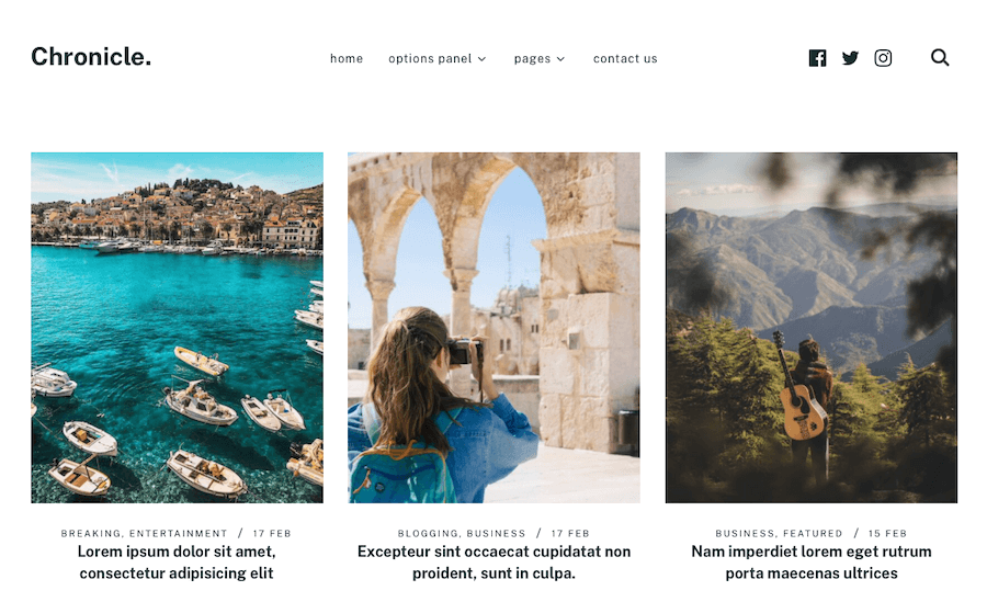 Screenshot des Chronicle WordPress Themes.