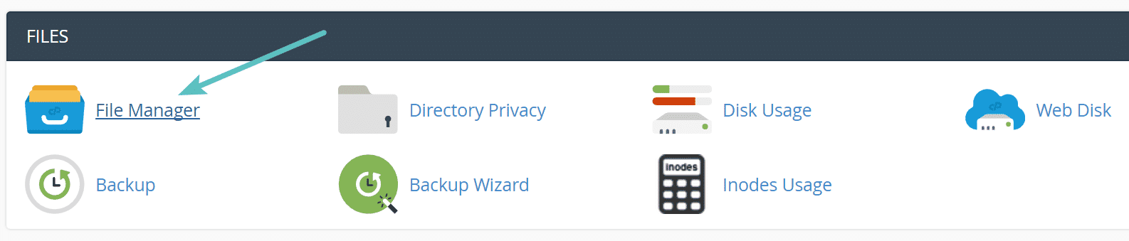 Screenshot: Location of the File Manager icon in cPanel.