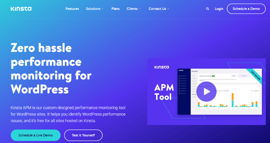 Kinsta APM web page