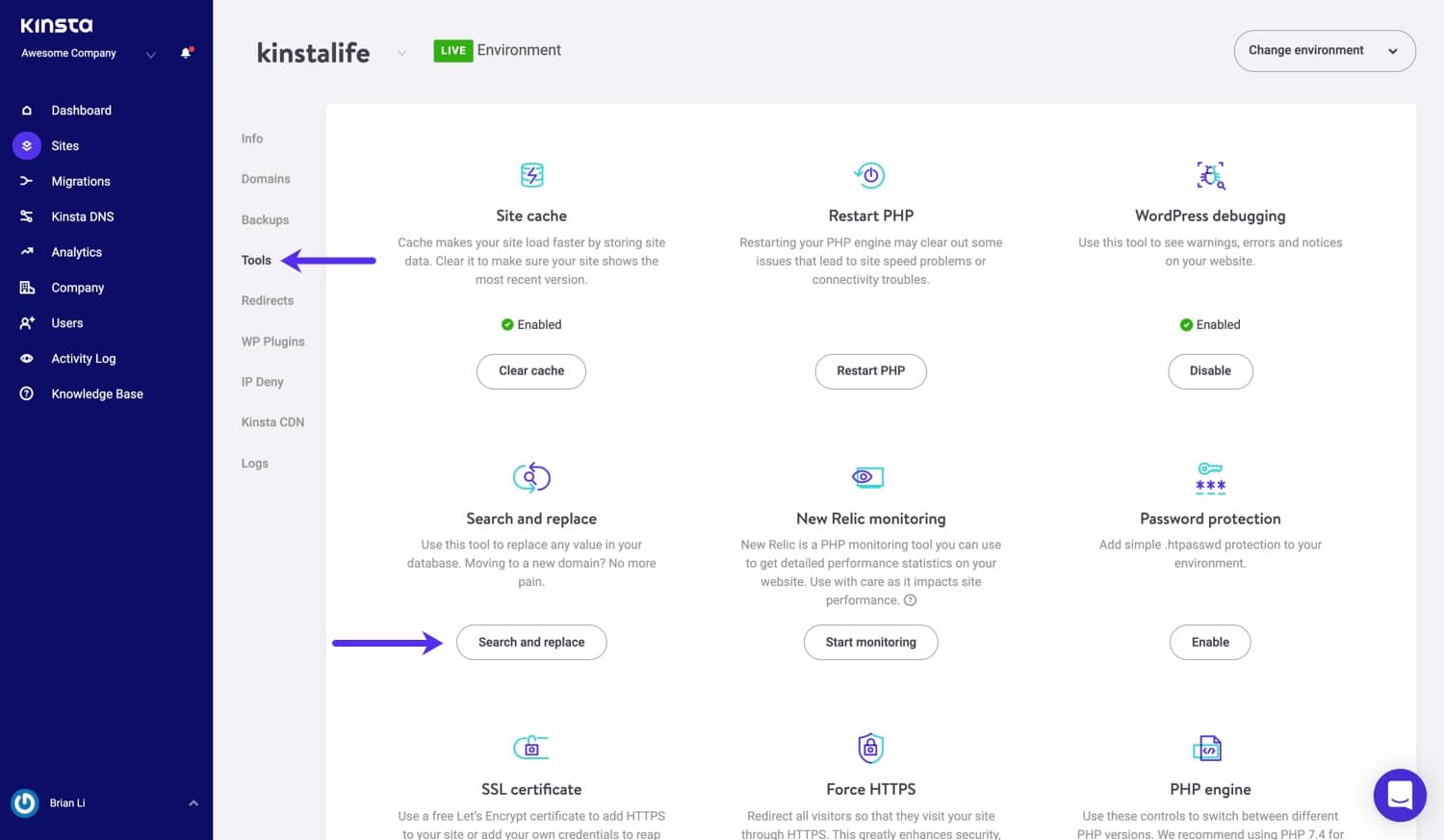 Kinsta ferramenta de busca e substituição