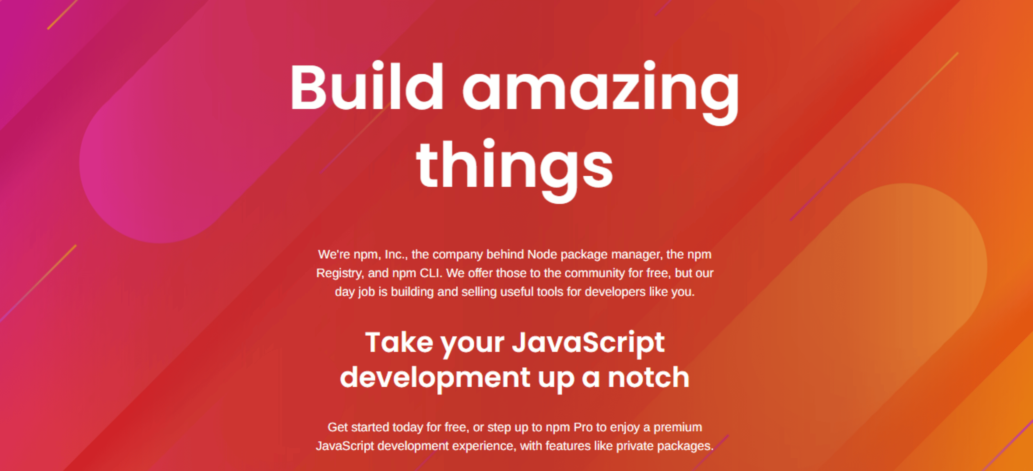 Screenshot della homepage di npm.