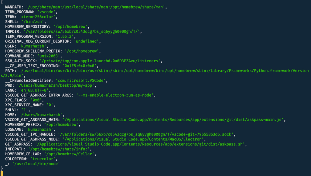 Node.js app's output on the terminal showing a list of available environment variables.