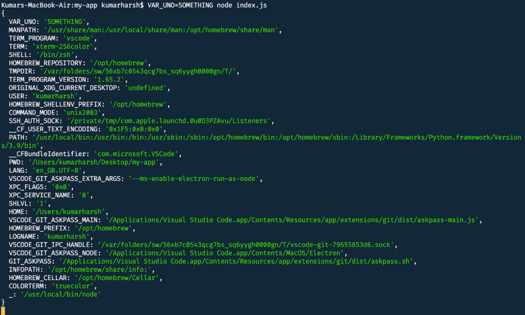 Node.js app's output on the terminal showing a list of available environment variables along with the new variable added on the top.