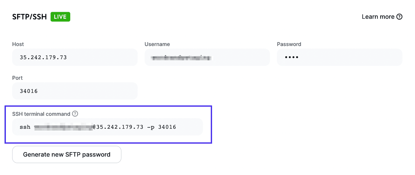 Find the SSH terminal command in MyKinsta