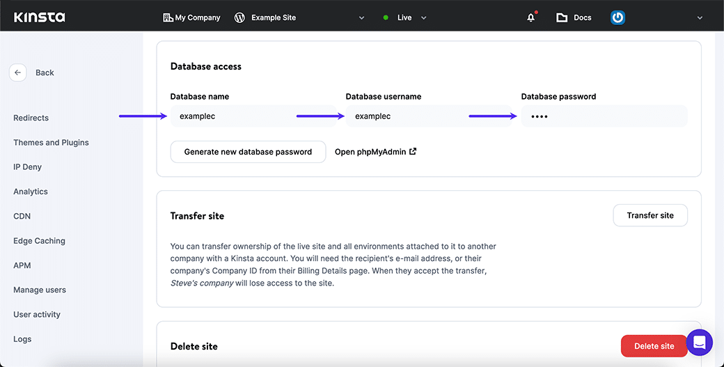 Kontrol af database legitimationsoplysningerne i MyKinsta.