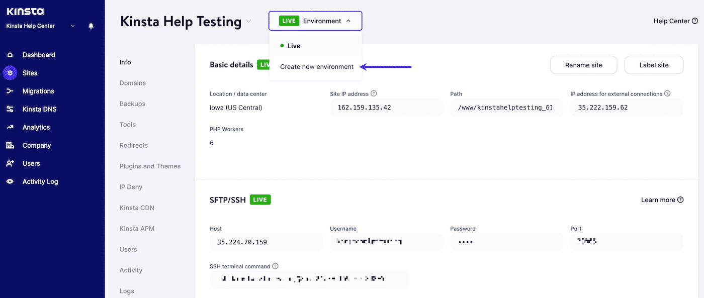 Creating a new Kinsta staging environment in MyKinsta, with a purple arrow pointing to the link for "Create new environment".