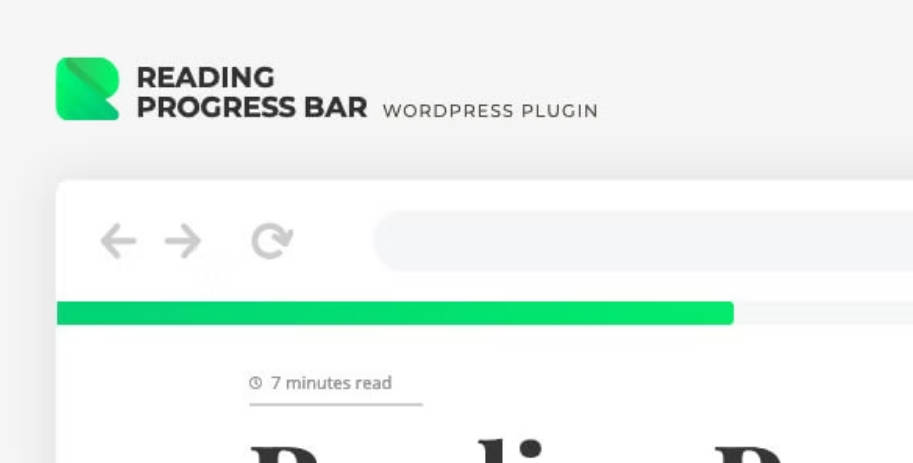 Das Premium ReBar Plugin