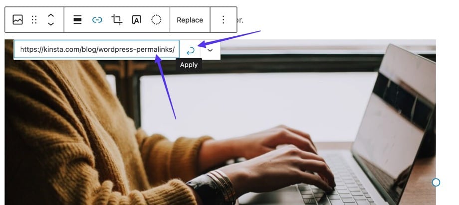 Un’immagine selezionata nell’editor articoli di WordPress: l'URL è incollato nel campo del link e potete fare clic su Applica.