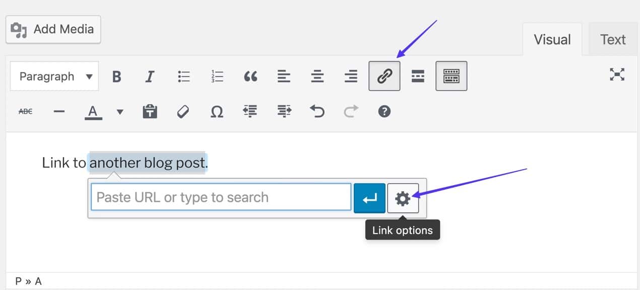 gemarkeerde tekst en klik op het tabblad Link Options
