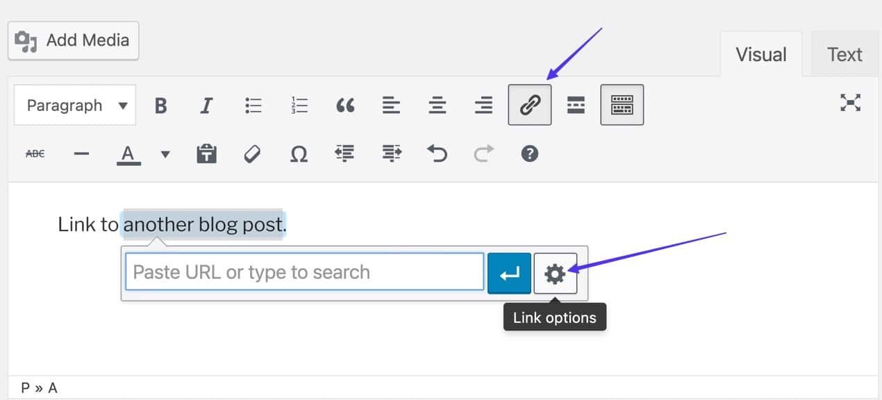 gemarkeerde tekst en klik op het tabblad Link Options