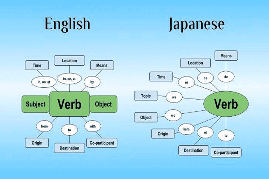 言語によって異なる文の構造（出典: 8020Japanese）