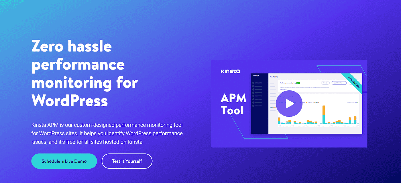 Homepage di Kinsta APM