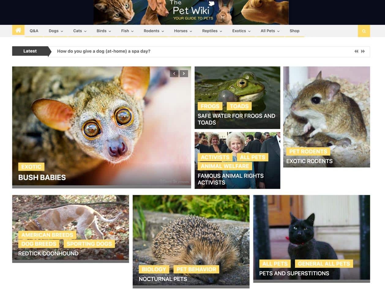 The Pet Wiki