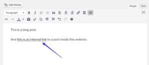 How To Make a Link Clickable - Kinsta®