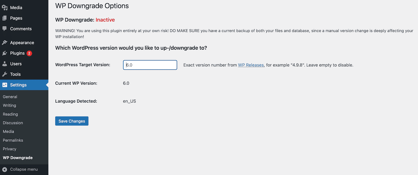 Screenshot of WP Downgrade settings