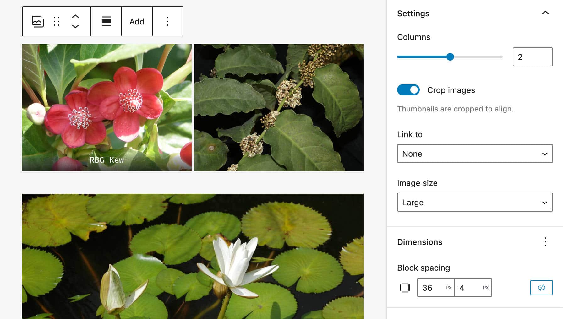 Nuevo diseño de galerías de imágenes en WordPress 6.1