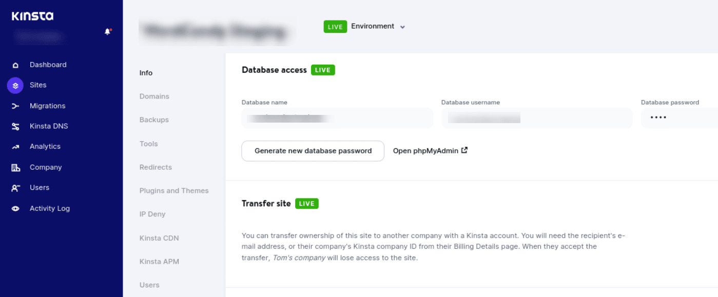 La sezione database di MyKinsta