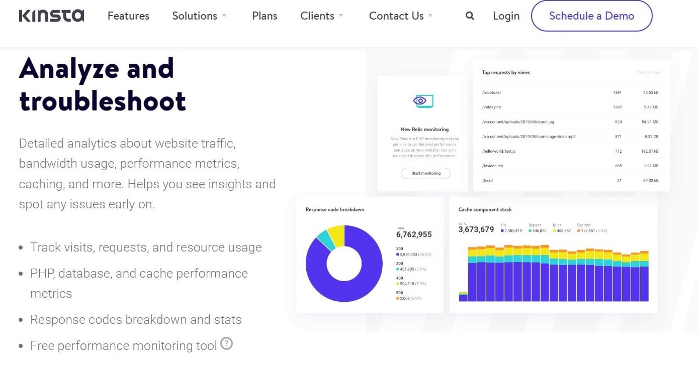 MyKinsta-hjemmesiden med overskriften "Analyser og fejlfind".