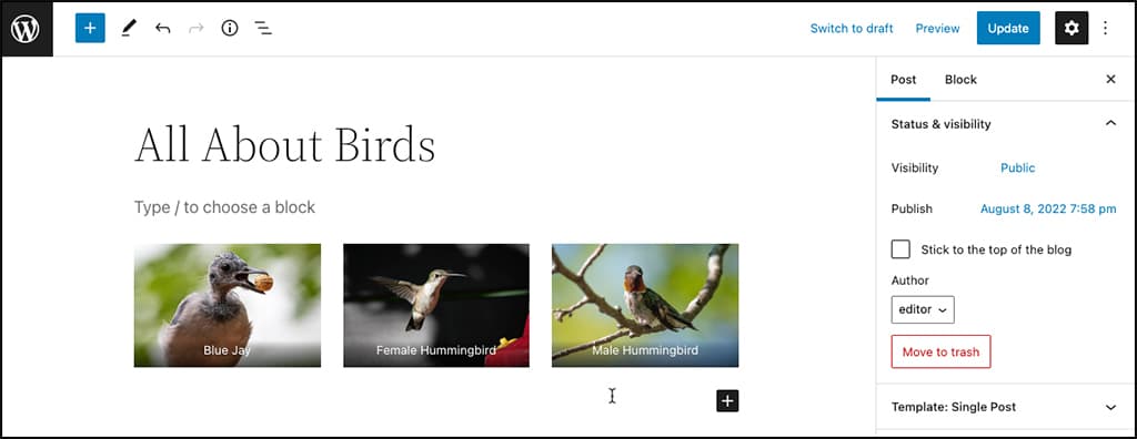 Screenshot: A gallery placed with image captions in the WordPress block editor. 