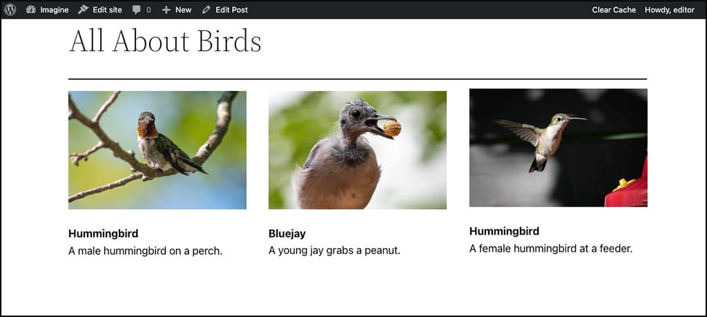 Screenshot: Eine Bildergalerie in WordPress mit Beschriftungen, die durch das GIC-Plugin verbessert wurden