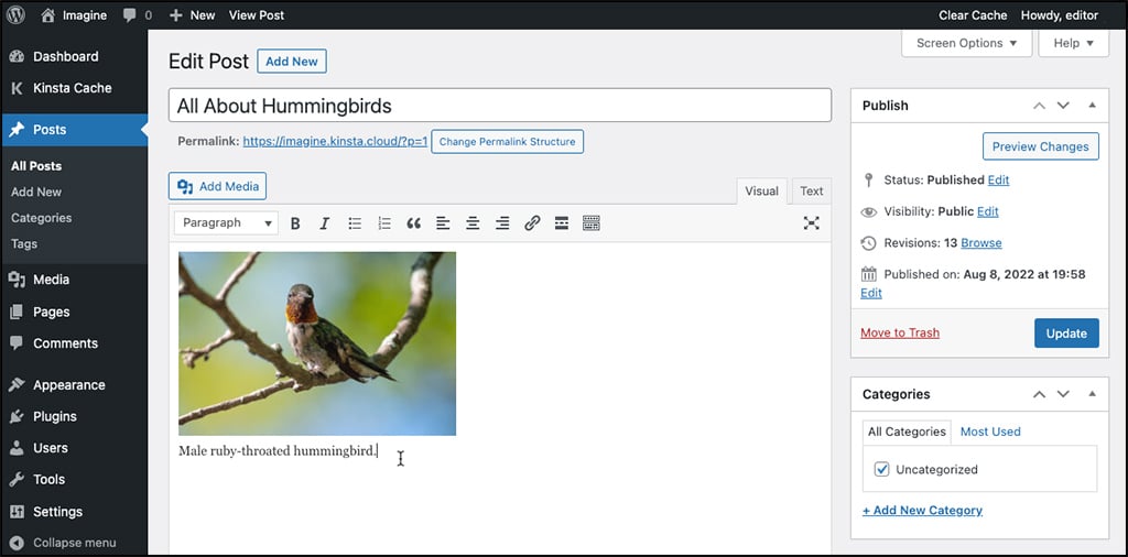 Screenshot: Caption displayed after uploading an image in the WordPress Classic Editor.