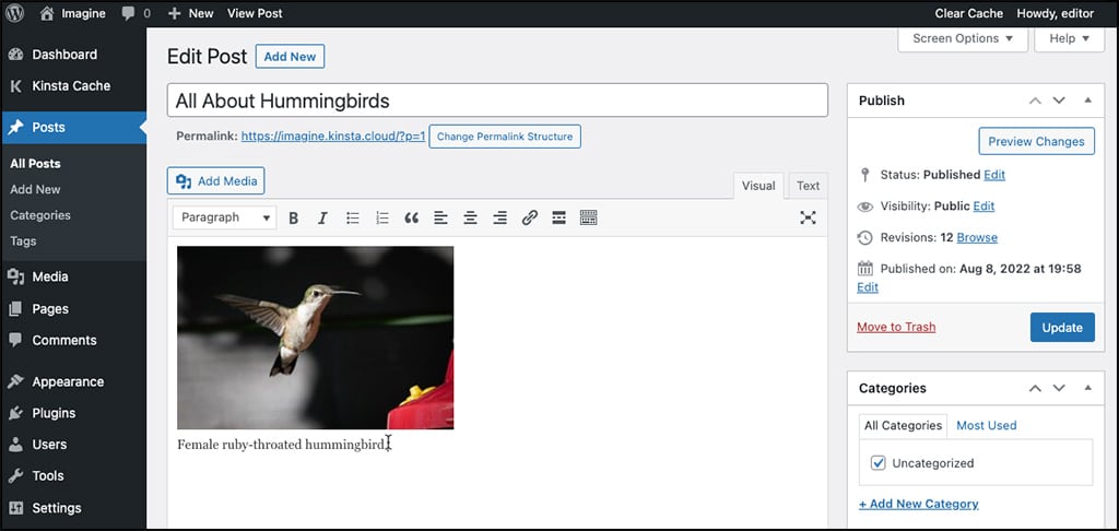 Schermata del Classic Editor WordPress con un’immagine caricata dentro l’area dell’articolo e, sotto, la didascalia