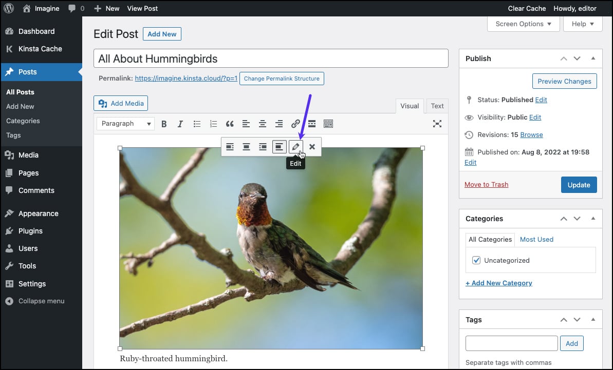 Schermata della barra degli strumenti dei controlli delle immagini nell'editor classico di WordPress.