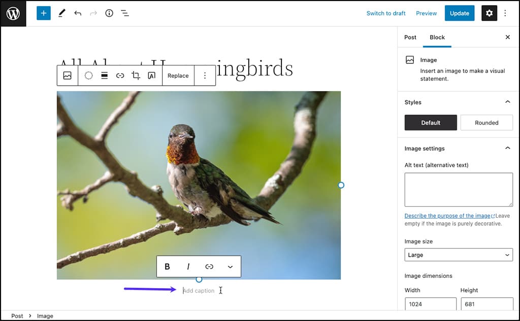 Screenshot: Add Caption prompt in the WordPress block editor.