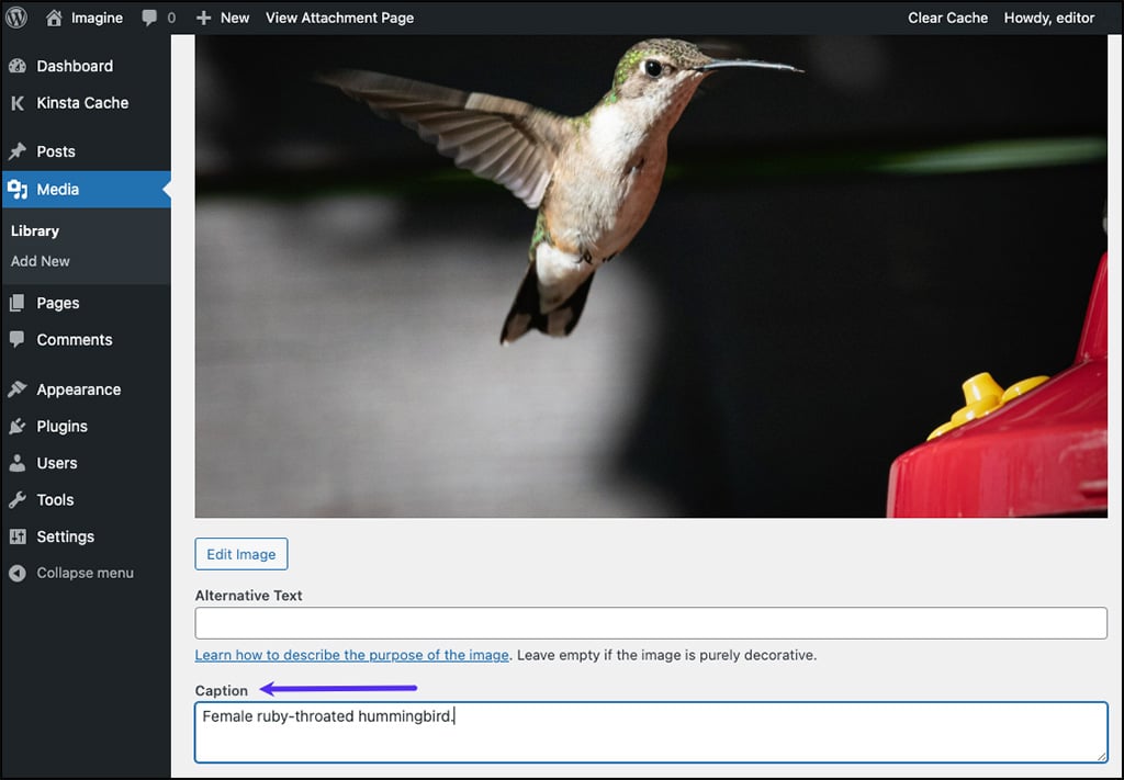 Screenshot: Adding caption text after uploading a new image in WordPress.