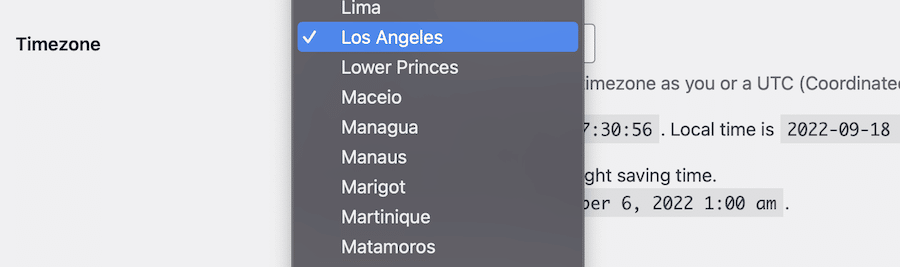 Setting the timezone in WordPress Settings.