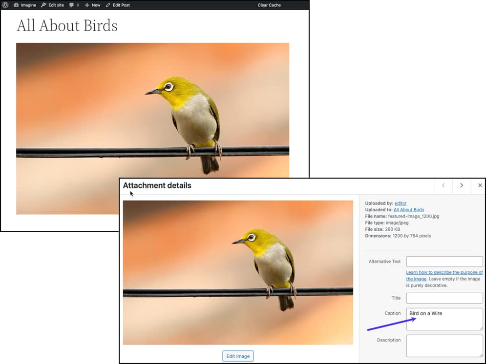 Due schermate dell’editor classico con la stessa immagine in primo piano di un uccello: nella Libreria Media l’immagine ha una didascalia che non viene invece visualizzata quando l’immagine è usata come immagine in primo piano per un articolo.