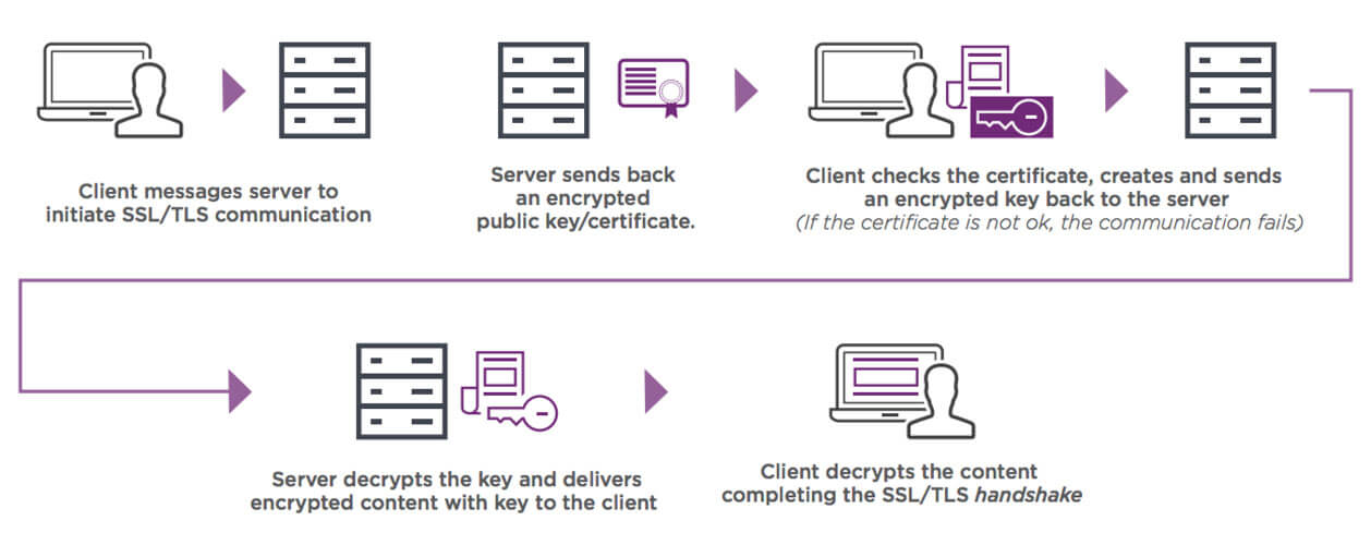 Illustrazione che mostra il processo di crittografia e verifica del certificato SSL