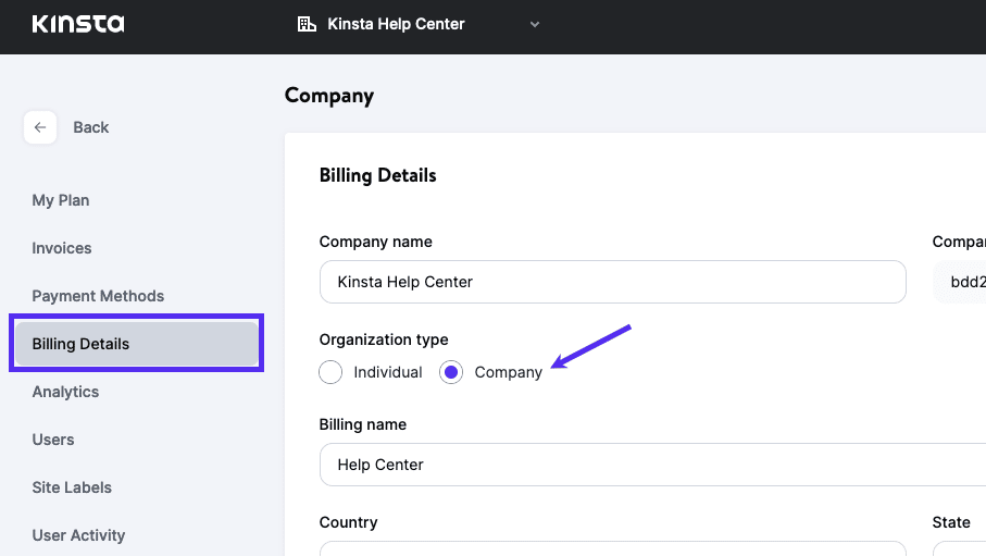 Company account in MyKinsta.