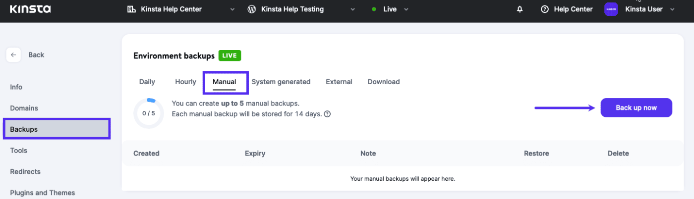 Screenshot: Handmatig een WordPress backup maken in MyKinsta.