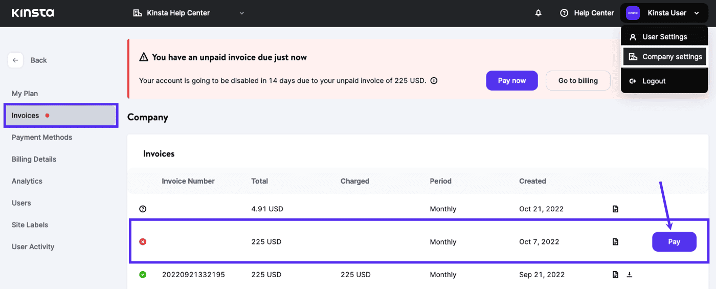 Pay an unpaid invoice in MyKinsta.