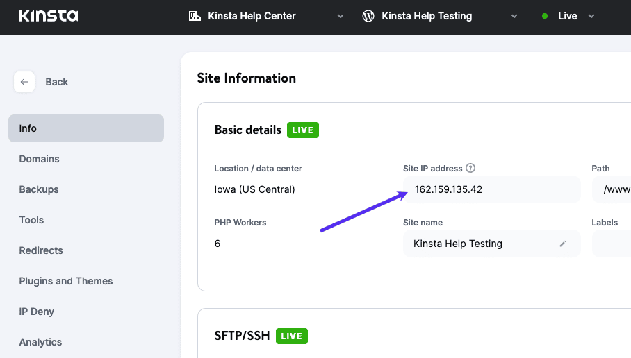 Webstedets IP-adresse i MyKinsta.