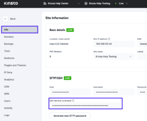 Connect To Ssh At Kinsta