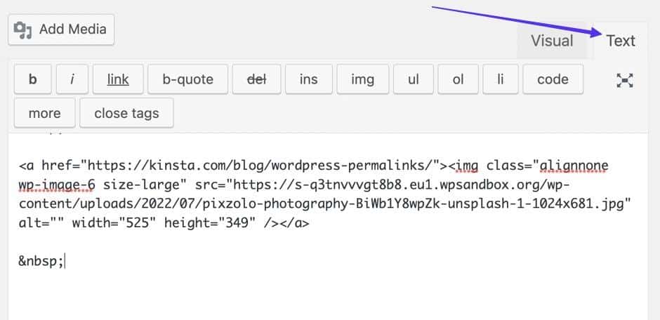 Schermata dell’editor classico di WordPress: una freccia indica l’etichetta Text che apre la scheda per il solo testo