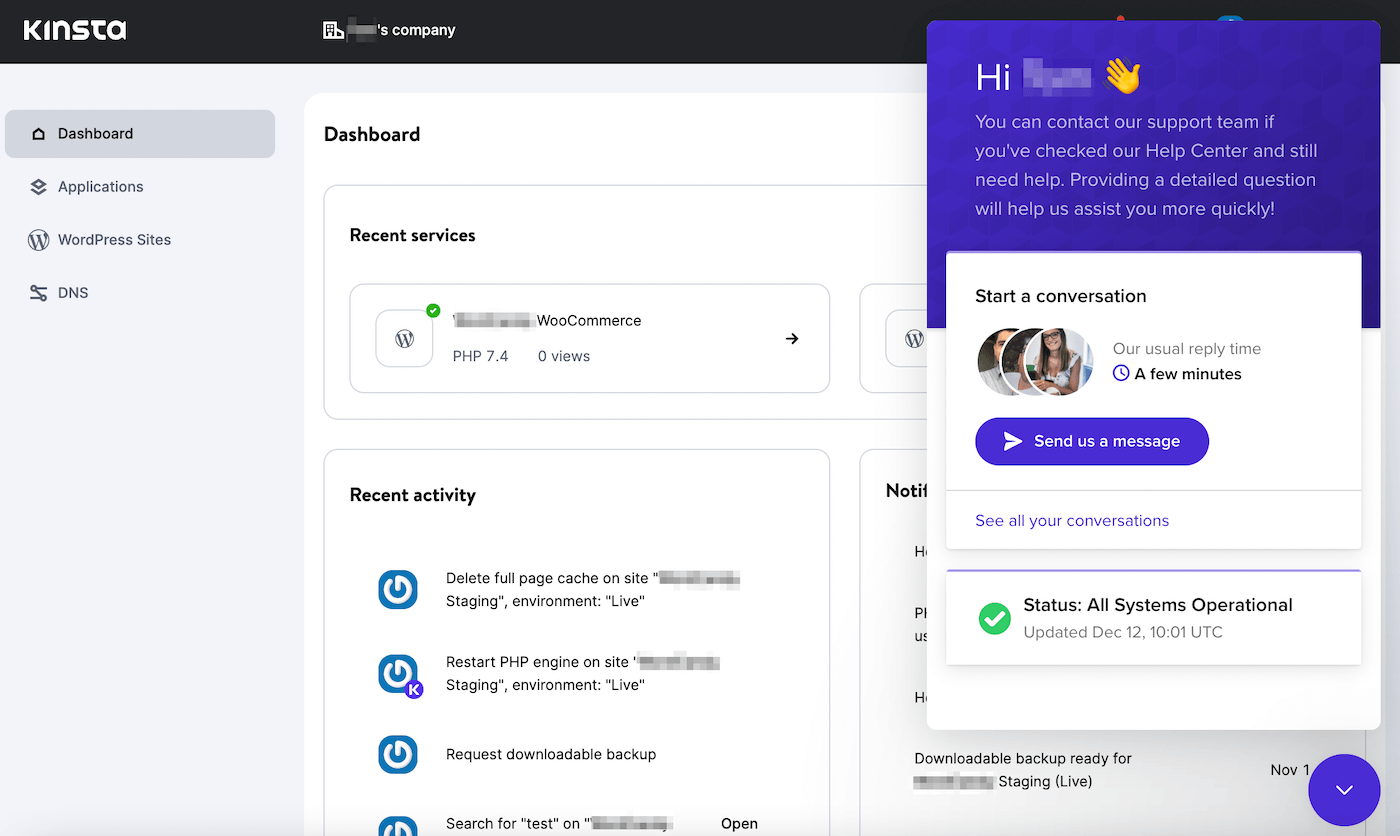 Get support right in MyKinsta