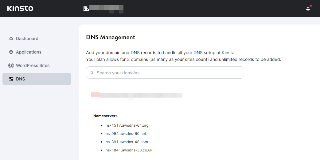 Página de Gerenciamento de DNS no MyKinsta.